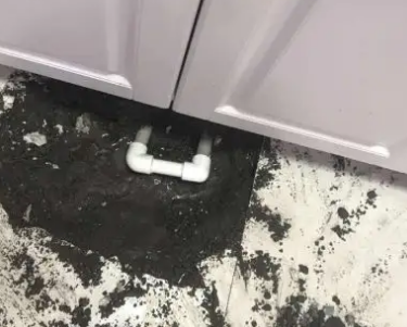 陆河查漏水哪家好
